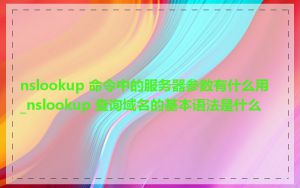 nslookup 命令中的服务器参数有什么用_nslookup 查询域名的基本语法是什么