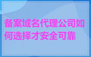 备案域名代理公司如何选择才安全可靠