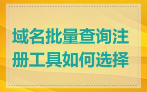 域名批量查询注册工具如何选择