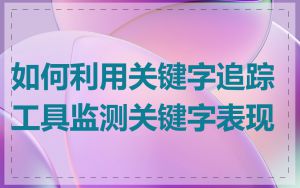 如何利用关键字追踪工具监测关键字表现