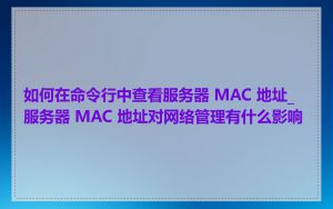 如何在命令行中查看服务器 MAC 地址_服务器 MAC 地址对网络管理有什么影响