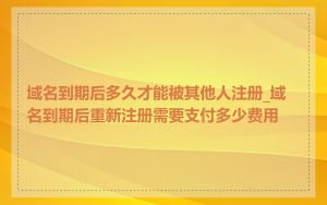 域名到期后多久才能被其他人注册_域名到期后重新注册需要支付多少费用