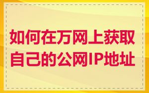 如何在万网上获取自己的公网IP地址