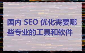 国内 SEO 优化需要哪些专业的工具和软件