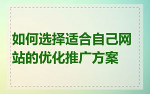 如何选择适合自己网站的优化推广方案