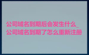 公司域名到期后会发生什么_公司域名到期了怎么重新注册