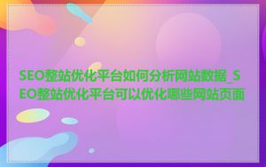 SEO整站优化平台如何分析网站数据_SEO整站优化平台可以优化哪些网站页面