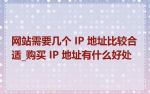 网站需要几个 IP 地址比较合适_购买 IP 地址有什么好处