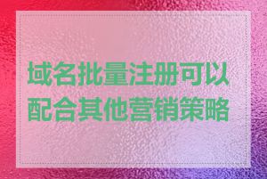 域名批量注册可以配合其他营销策略吗