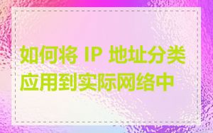 如何将 IP 地址分类应用到实际网络中