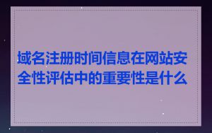 域名注册时间信息在网站安全性评估中的重要性是什么