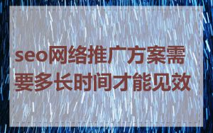 seo网络推广方案需要多长时间才能见效