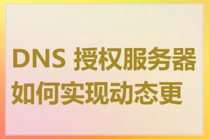 DNS 授权服务器如何实现动态更新