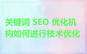 关键词 SEO 优化机构如何进行技术优化