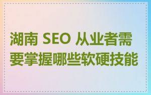 湖南 SEO 从业者需要掌握哪些软硬技能