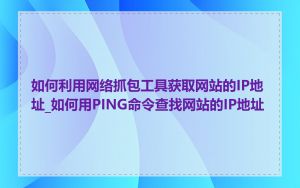 如何利用网络抓包工具获取网站的IP地址_如何用PING命令查找网站的IP地址