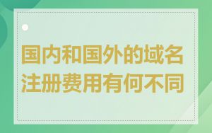 国内和国外的域名注册费用有何不同