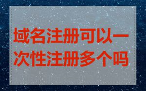 域名注册可以一次性注册多个吗