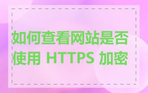 如何查看网站是否使用 HTTPS 加密