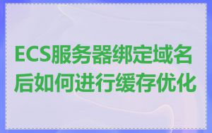 ECS服务器绑定域名后如何进行缓存优化