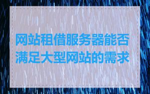 网站租借服务器能否满足大型网站的需求