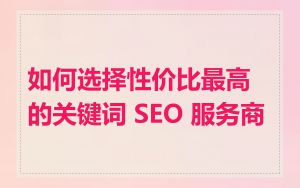 如何选择性价比最高的关键词 SEO 服务商