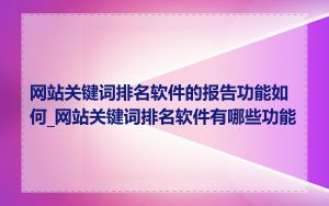 网站关键词排名软件的报告功能如何_网站关键词排名软件有哪些功能