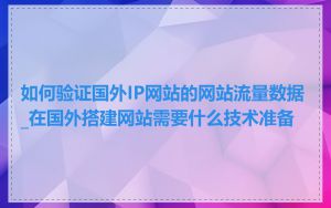 如何验证国外IP网站的网站流量数据_在国外搭建网站需要什么技术准备