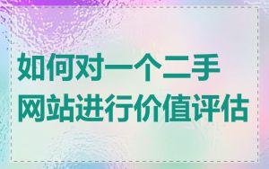 如何对一个二手网站进行价值评估