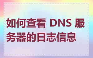 如何查看 DNS 服务器的日志信息