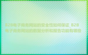 B2B电子商务网站的安全性如何保证_B2B电子商务网站的数据分析和报告功能有哪些