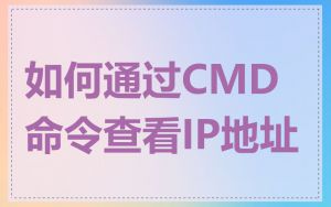 如何通过CMD命令查看IP地址