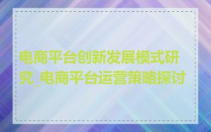 电商平台创新发展模式研究_电商平台运营策略探讨