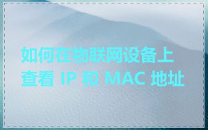 如何在物联网设备上查看 IP 和 MAC 地址