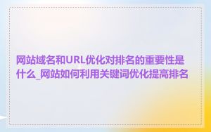 网站域名和URL优化对排名的重要性是什么_网站如何利用关键词优化提高排名