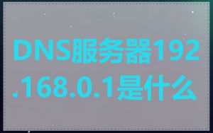 DNS服务器192.168.0.1是什么