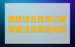 删除域名查询记录需要注意哪些问题