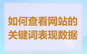 如何查看网站的关键词表现数据