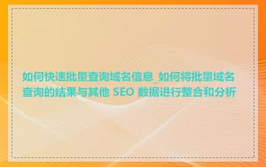 如何快速批量查询域名信息_如何将批量域名查询的结果与其他 SEO 数据进行整合和分析