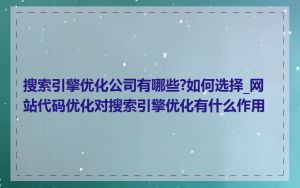 搜索引擎优化公司有哪些?如何选择_网站代码优化对搜索引擎优化有什么作用