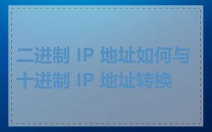 二进制 IP 地址如何与十进制 IP 地址转换