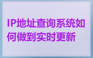 IP地址查询系统如何做到实时更新