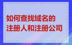 如何查找域名的注册人和注册公司