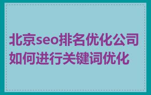 北京seo排名优化公司如何进行关键词优化