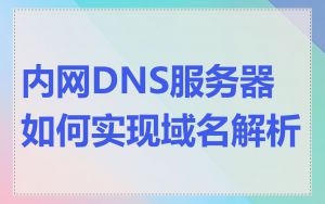 内网DNS服务器如何实现域名解析