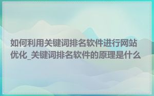 如何利用关键词排名软件进行网站优化_关键词排名软件的原理是什么