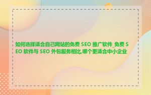 如何选择适合自己网站的免费 SEO 推广软件_免费 SEO 软件与 SEO 外包服务相比,哪个更适合中小企业