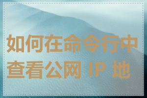 如何在命令行中查看公网 IP 地址