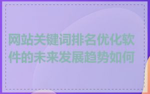 网站关键词排名优化软件的未来发展趋势如何