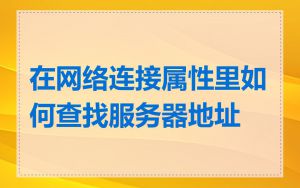 在网络连接属性里如何查找服务器地址